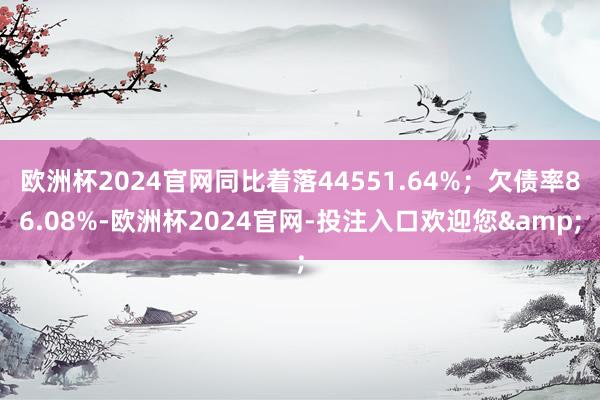 欧洲杯2024官网同比着落44551.64%；欠债率86.08%-欧洲杯2024官网-投注入口欢迎您&