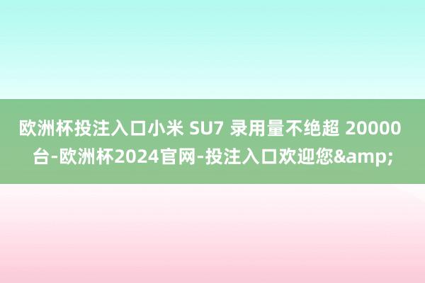 欧洲杯投注入口小米 SU7 录用量不绝超 20000 台-欧洲杯2024官网-投注入口欢迎您&