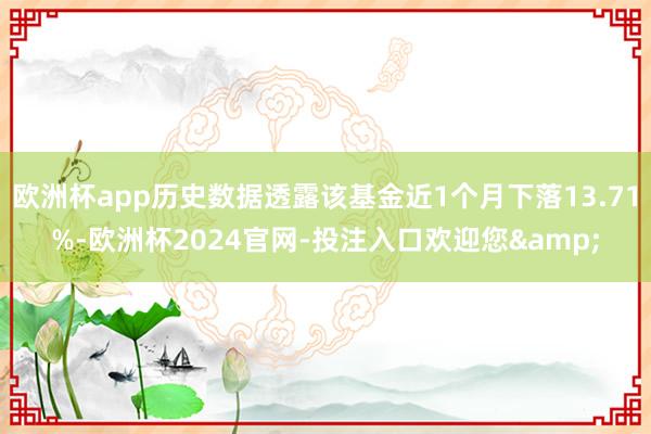 欧洲杯app历史数据透露该基金近1个月下落13.71%-欧洲杯2024官网-投注入口欢迎您&