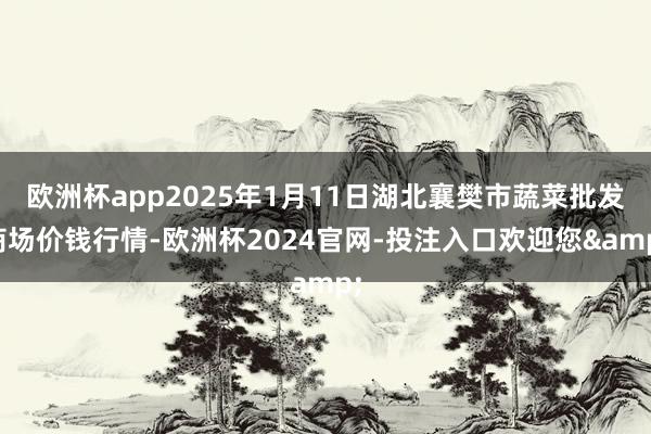 欧洲杯app2025年1月11日湖北襄樊市蔬菜批发商场价钱行情-欧洲杯2024官网-投注入口欢迎您&