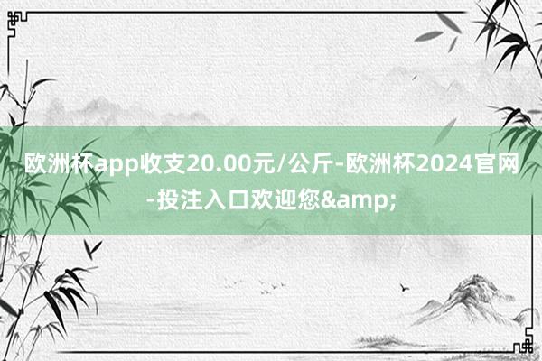 欧洲杯app收支20.00元/公斤-欧洲杯2024官网-投注入口欢迎您&