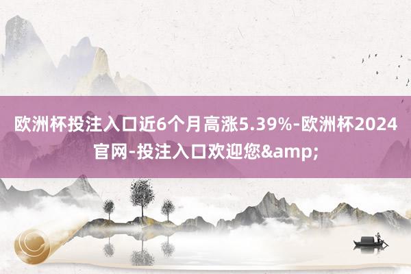欧洲杯投注入口近6个月高涨5.39%-欧洲杯2024官网-投注入口欢迎您&