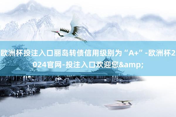 欧洲杯投注入口丽岛转债信用级别为“A+”-欧洲杯2024官网-投注入口欢迎您&