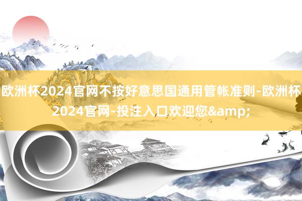 欧洲杯2024官网不按好意思国通用管帐准则-欧洲杯2024官网-投注入口欢迎您&
