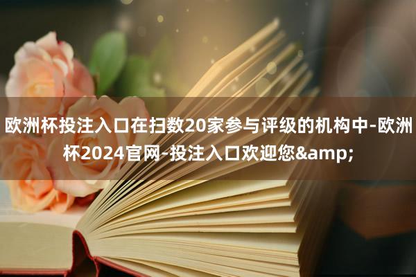 欧洲杯投注入口在扫数20家参与评级的机构中-欧洲杯2024官网-投注入口欢迎您&