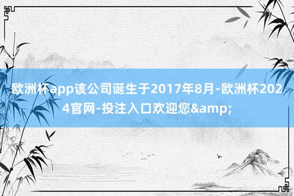 欧洲杯app该公司诞生于2017年8月-欧洲杯2024官网-投注入口欢迎您&