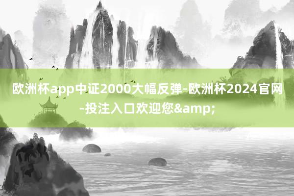 欧洲杯app中证2000大幅反弹-欧洲杯2024官网-投注入口欢迎您&