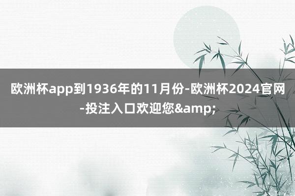 欧洲杯app到1936年的11月份-欧洲杯2024官网-投注入口欢迎您&