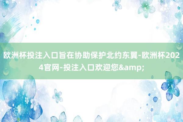 欧洲杯投注入口旨在协助保护北约东翼-欧洲杯2024官网-投注入口欢迎您&