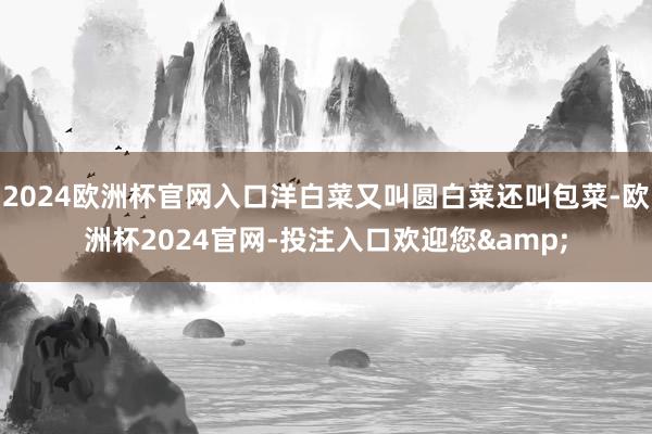 2024欧洲杯官网入口洋白菜又叫圆白菜还叫包菜-欧洲杯2024官网-投注入口欢迎您&