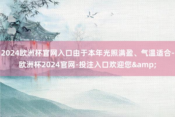 2024欧洲杯官网入口由于本年光照满盈、气温适合-欧洲杯2024官网-投注入口欢迎您&
