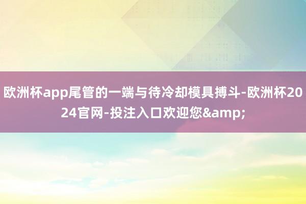 欧洲杯app尾管的一端与待冷却模具搏斗-欧洲杯2024官网-投注入口欢迎您&