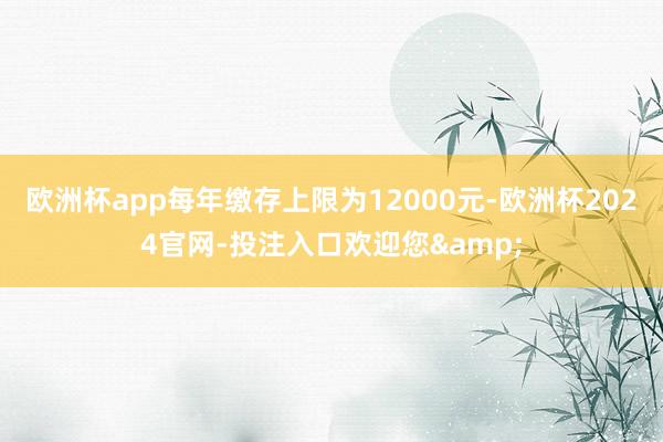 欧洲杯app每年缴存上限为12000元-欧洲杯2024官网-投注入口欢迎您&