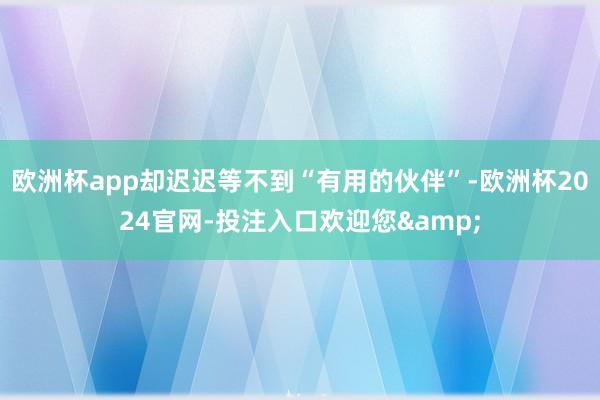 欧洲杯app却迟迟等不到“有用的伙伴”-欧洲杯2024官网-投注入口欢迎您&