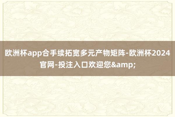 欧洲杯app合手续拓宽多元产物矩阵-欧洲杯2024官网-投注入口欢迎您&