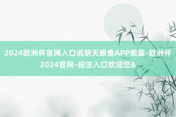 2024欧洲杯官网入口说明天眼查APP败露-欧洲杯2024官网-投注入口欢迎您&