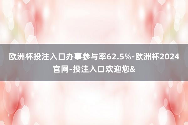 欧洲杯投注入口办事参与率62.5%-欧洲杯2024官网-投注入口欢迎您&