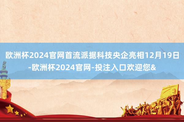 欧洲杯2024官网首流派据科技央企亮相12月19日-欧洲杯2024官网-投注入口欢迎您&