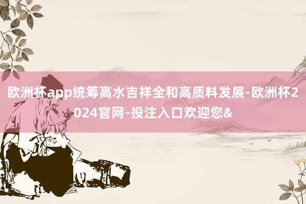 欧洲杯app统筹高水吉祥全和高质料发展-欧洲杯2024官网-投注入口欢迎您&