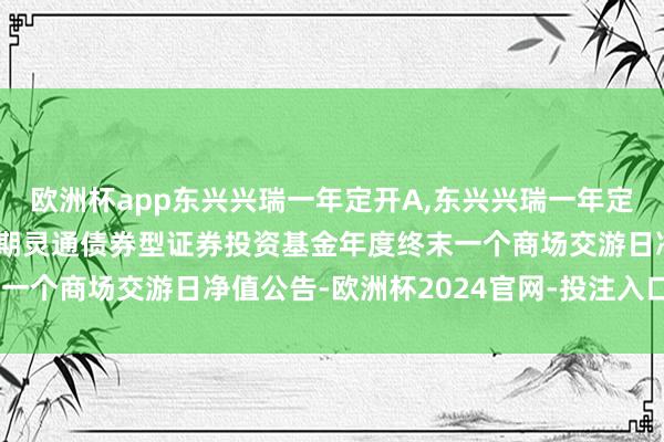 欧洲杯app东兴兴瑞一年定开A,东兴兴瑞一年定开C: 东兴兴瑞一年依期灵通债券型证券投资基金年度终末一个商场交游日净值公告-欧洲杯2024官网-投注入口欢迎您&