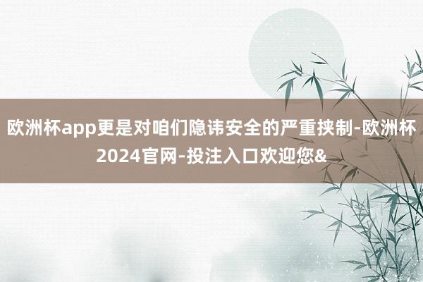欧洲杯app更是对咱们隐讳安全的严重挟制-欧洲杯2024官网-投注入口欢迎您&