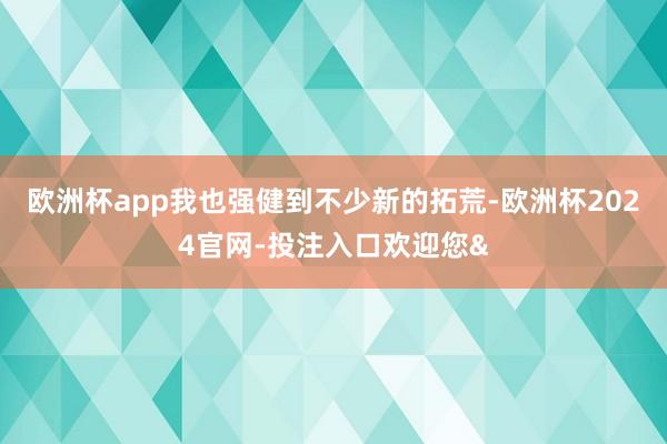 欧洲杯app我也强健到不少新的拓荒-欧洲杯2024官网-投注入口欢迎您&