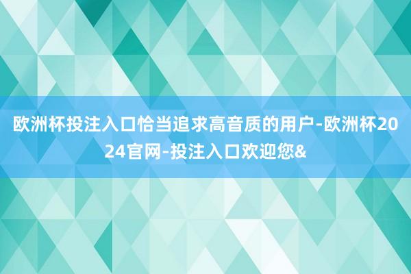 欧洲杯投注入口恰当追求高音质的用户-欧洲杯2024官网-投注入口欢迎您&
