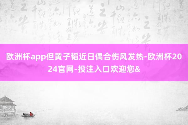 欧洲杯app但黄子韬近日偶合伤风发热-欧洲杯2024官网-投注入口欢迎您&