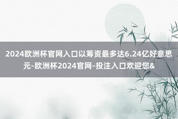 2024欧洲杯官网入口以筹资最多达6.24亿好意思元-欧洲杯2024官网-投注入口欢迎您&