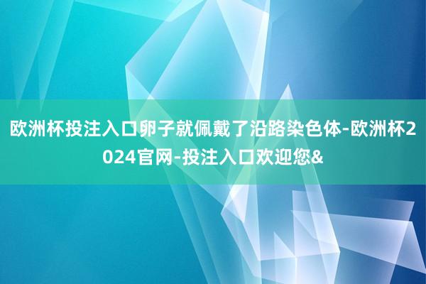 欧洲杯投注入口卵子就佩戴了沿路染色体-欧洲杯2024官网-投注入口欢迎您&