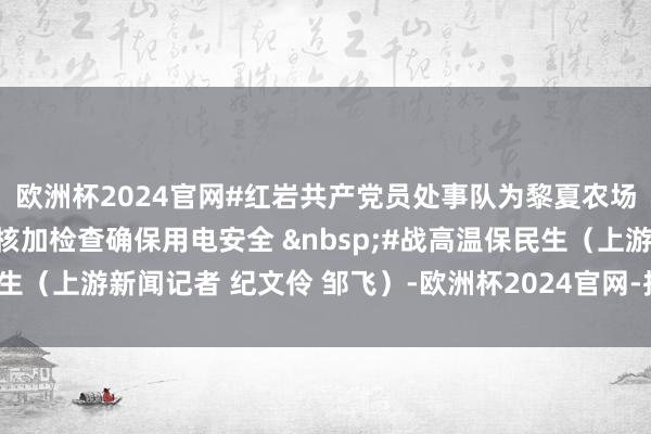 欧洲杯2024官网#红岩共产党员处事队为黎夏农场送来出动电源 如期考核加检查确保用电安全 &nbsp;#战高温保民生（上游新闻记者 纪文伶 邹飞）-欧洲杯2024官网-投注入口欢迎您&