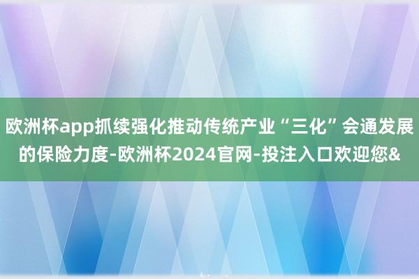 欧洲杯app抓续强化推动传统产业“三化”会通发展的保险力度-欧洲杯2024官网-投注入口欢迎您&