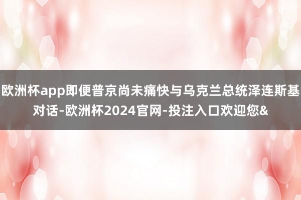 欧洲杯app即便普京尚未痛快与乌克兰总统泽连斯基对话-欧洲杯2024官网-投注入口欢迎您&