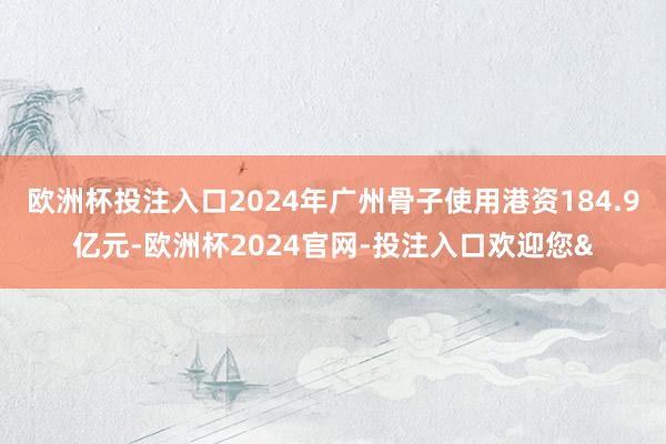 欧洲杯投注入口2024年广州骨子使用港资184.9亿元-欧洲杯2024官网-投注入口欢迎您&