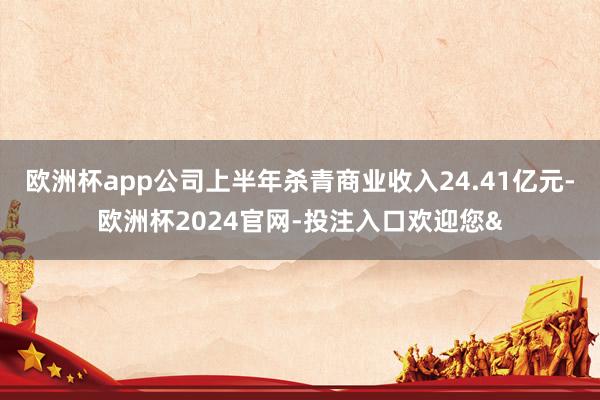 欧洲杯app公司上半年杀青商业收入24.41亿元-欧洲杯2024官网-投注入口欢迎您&