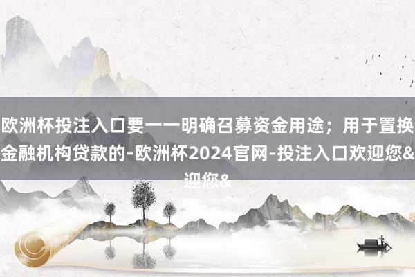 欧洲杯投注入口要一一明确召募资金用途；用于置换金融机构贷款的-欧洲杯2024官网-投注入口欢迎您&