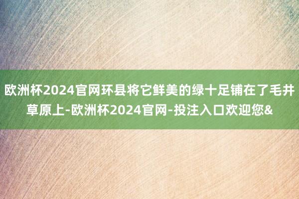 欧洲杯2024官网环县将它鲜美的绿十足铺在了毛井草原上-欧洲杯2024官网-投注入口欢迎您&