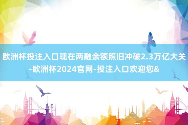 欧洲杯投注入口现在两融余额照旧冲破2.3万亿大关-欧洲杯2024官网-投注入口欢迎您&