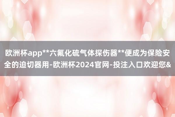 欧洲杯app**六氟化硫气体探伤器**便成为保险安全的迫切器用-欧洲杯2024官网-投注入口欢迎您&