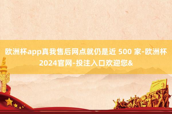 欧洲杯app真我售后网点就仍是近 500 家-欧洲杯2024官网-投注入口欢迎您&