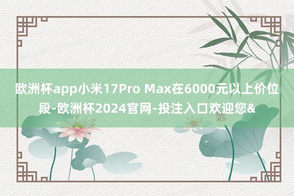 欧洲杯app小米17Pro Max在6000元以上价位段-欧洲杯2024官网-投注入口欢迎您&