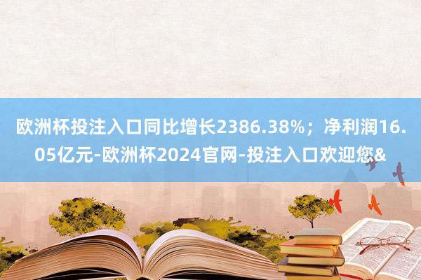 欧洲杯投注入口同比增长2386.38%；净利润16.05亿元-欧洲杯2024官网-投注入口欢迎您&